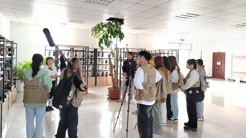 三维动画教程，分类解析与选择指南